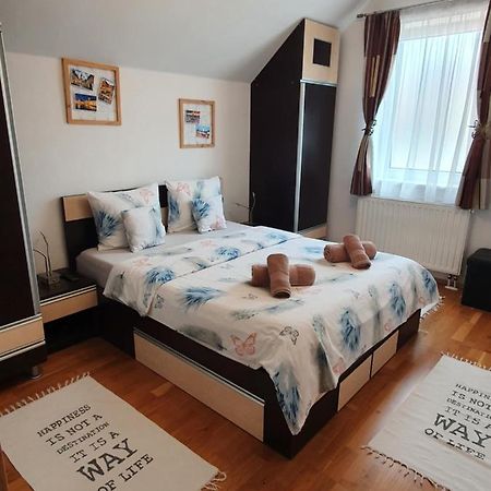 Smiley Apartment Sibiu Dış mekan fotoğraf