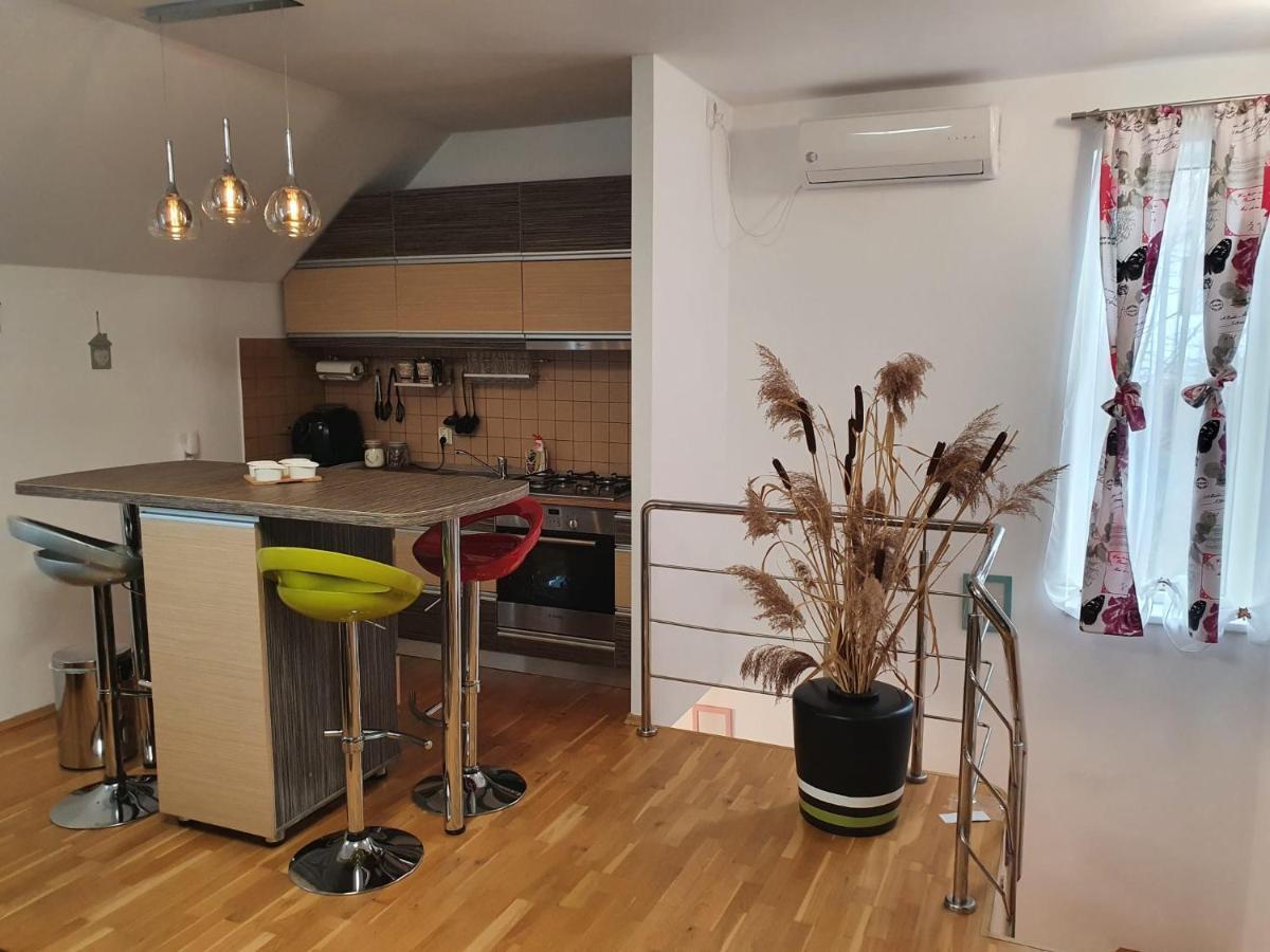 Smiley Apartment Sibiu Dış mekan fotoğraf