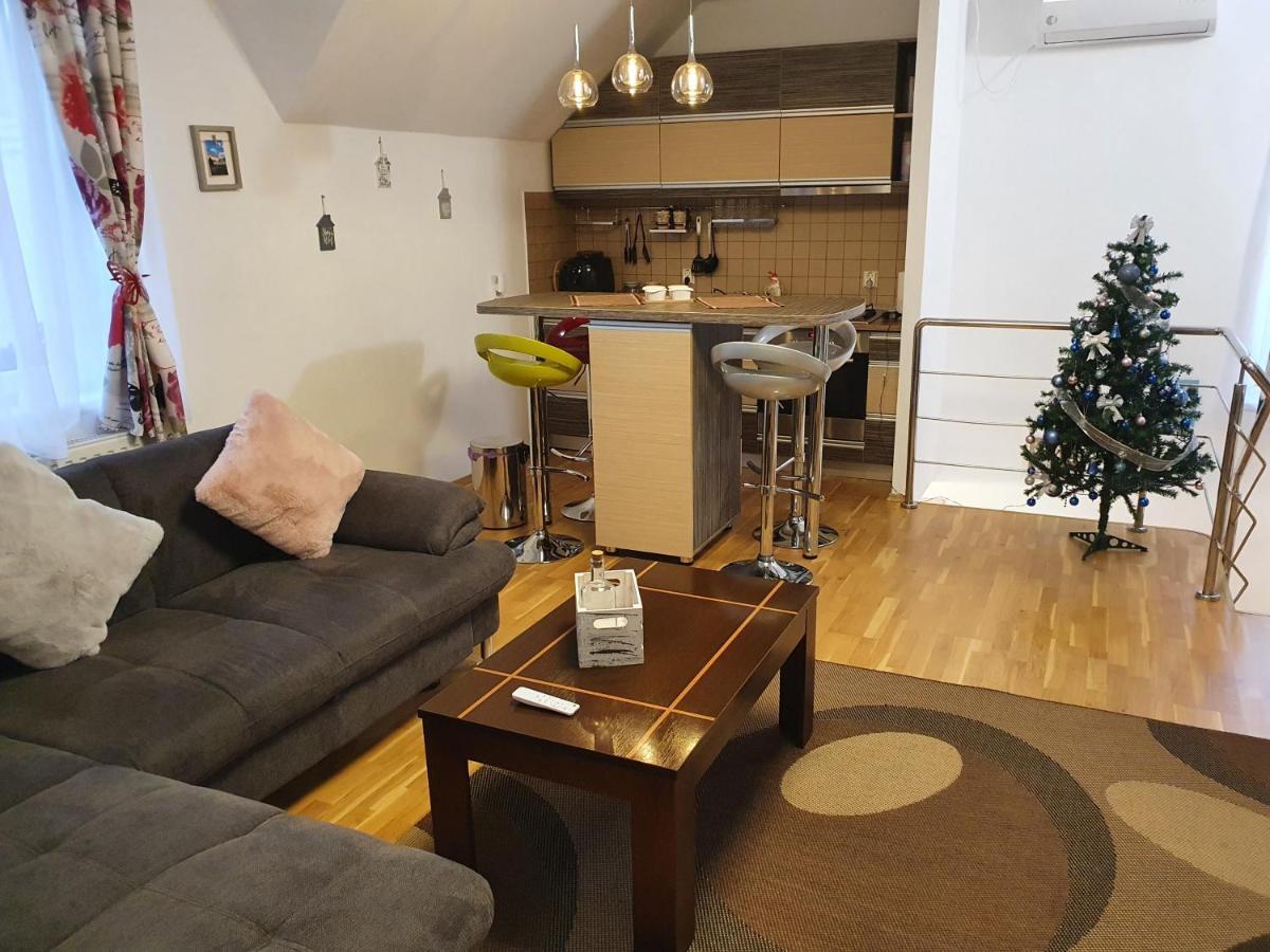 Smiley Apartment Sibiu Dış mekan fotoğraf
