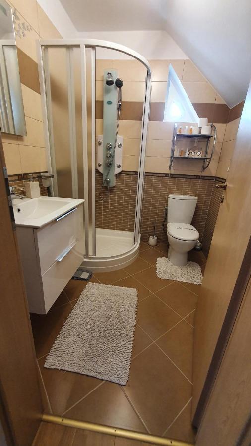 Smiley Apartment Sibiu Dış mekan fotoğraf