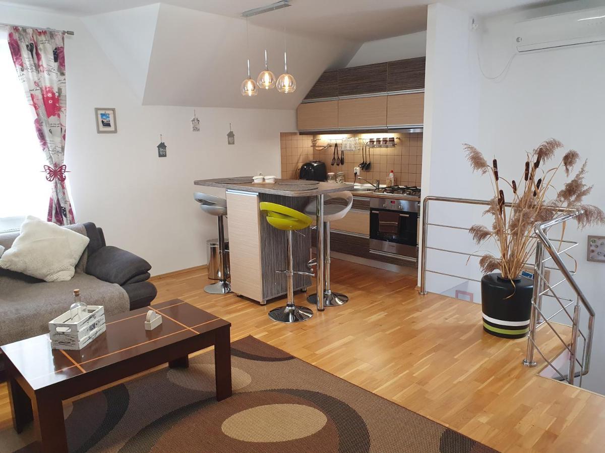 Smiley Apartment Sibiu Dış mekan fotoğraf