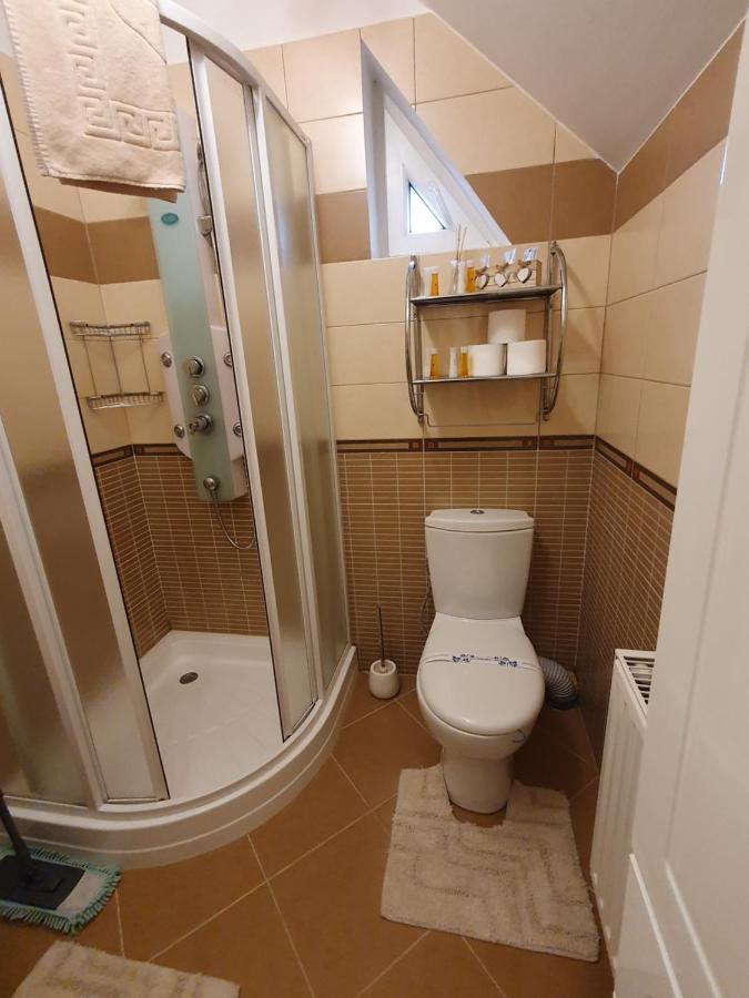 Smiley Apartment Sibiu Dış mekan fotoğraf