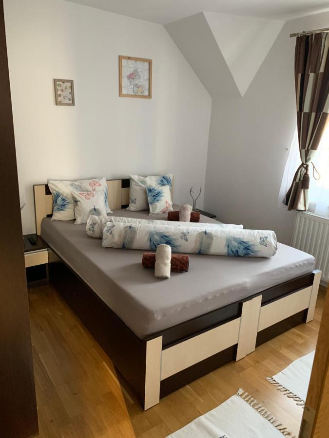 Smiley Apartment Sibiu Dış mekan fotoğraf